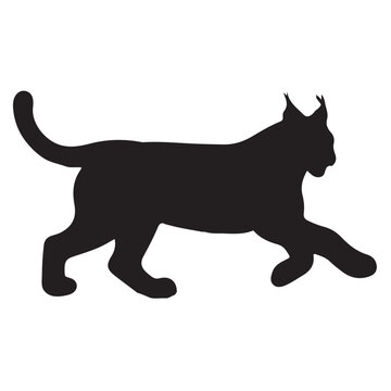 recommend clip art: Lynx silhouette collection , Silhouette of Black Lynx, isolated on white background (Vector)