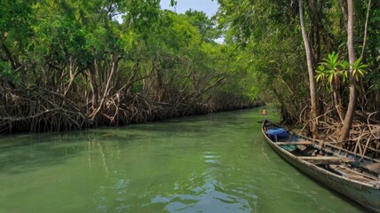 Explore Sundarbans Canal Biggest Mangrove Forest