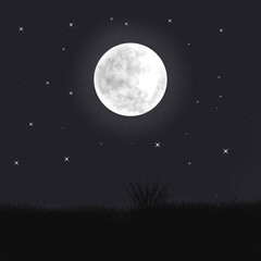 illustration of the moon and stars on a clear night