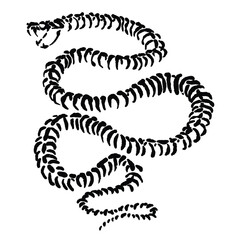 vector sketch illustration of a deadly poisonous snake skeleton