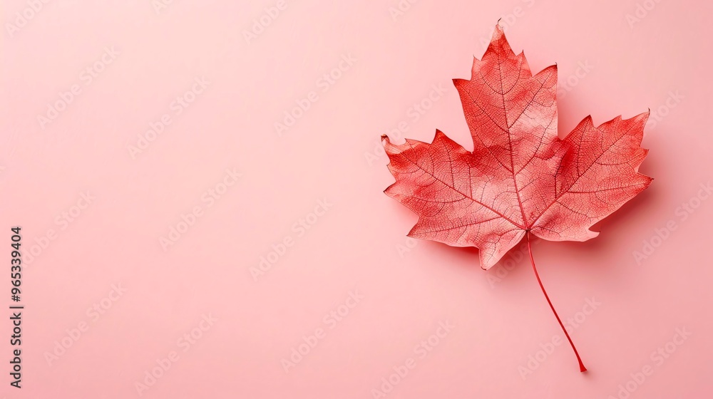 Wall mural subtle maple leaf patterns on a soft pastel background, adding a delicate touch with ample blank spa