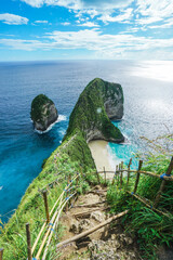 Amazing cliff with clear turquoise water of the ocean at Kelingking Beach, Nusa Penida, Indonesia. © Balnyes Visuals