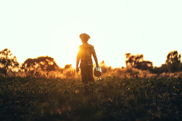 A farmer holds a watering can in the middle of a cassava field at sunset.