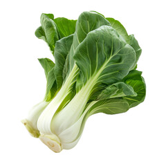 Fresh bok choy with vibrant green leaves and crunchy white stems displayed against a plain background in natural light