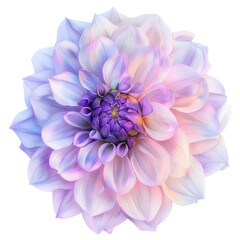 Fototapeta premium A dahlia flower against a transparent background, its pastel tones resembling a watercolor painting.