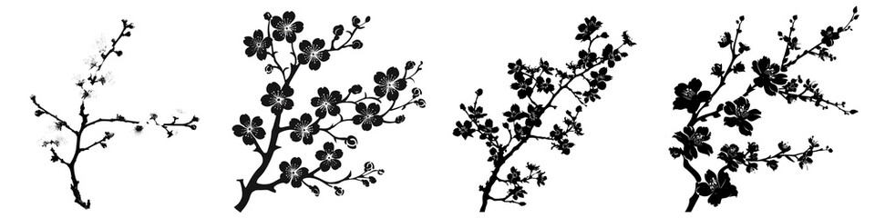 Silhouette Cherry Blossom Shadow isolated on white background. Generative AI.