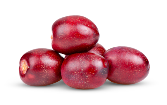 red date palm isolated on transparent png
