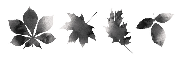 Naklejka premium Watercolor leaves of maple, chestnut and other plants.