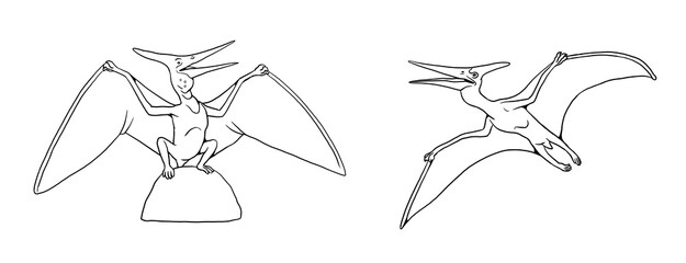 Family of Pterosaurs - Pteranodon. Dinosaur illustration to color in. © Lunstream