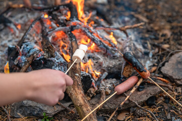 People roasting sausages and marshmallows over a campfire while camping