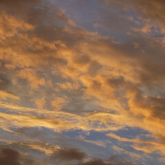 Obraz premium 夕焼けの青空とオレンジの雲