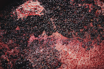 Container with crushed grapes in early stage of fermentation. Grape juice, skins and pulp....