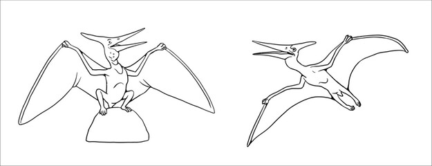 Family of Pterosaurs - Pteranodon. Dinosaur vector drawing to color in. © Lunstream