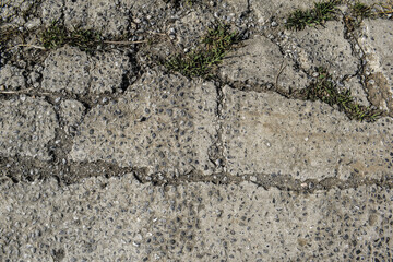 The road used for jogging in the park is damaged.Old road background - surface of grey cracked asphalt texture close up, city street of Vienna, Grey cracked wet concrete texture 
