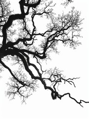 Majestic Oak Tree Silhouette on White Background for Nature and Environment Concepts Generative AI