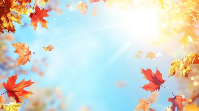 autumn background featuring yellow leaves and sun rays against a blue sky, ideal for an autumn season concept banner with ample copy space for text