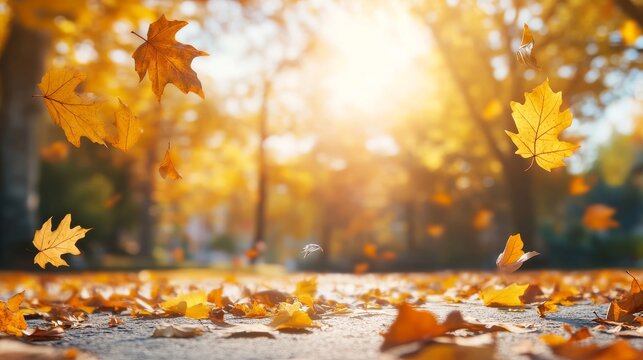 autumn background with golden leaves falling in a sunny park, capturing the essence of fall with yellow and orange leaves, perfect for a nature-themed design with ample copy space