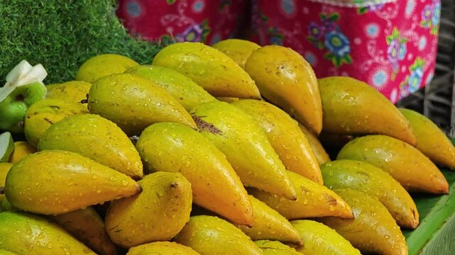 Canistel or Pouteria Campechiana or Egg fruit or Tiesa or Yellow Sapote Fruits.