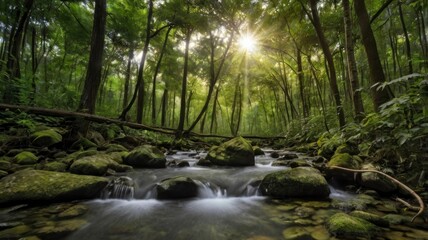 Obraz premium Nature's Beauty World Photography Day Landscape Photo