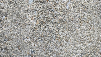 crumpled cement background texture. Landscape stone wall texture. Moss growing on a stone close-up. Cement walls, brick blocks, walls, fences. 