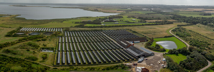 Solar farm with rows of solar panels installed on roofs of sheds on a animal breeding farm along...