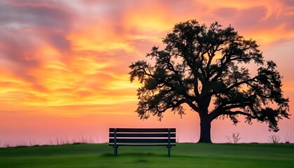 Solitary tree standing tall in a vast green field, with a vibrant sunset in the background.