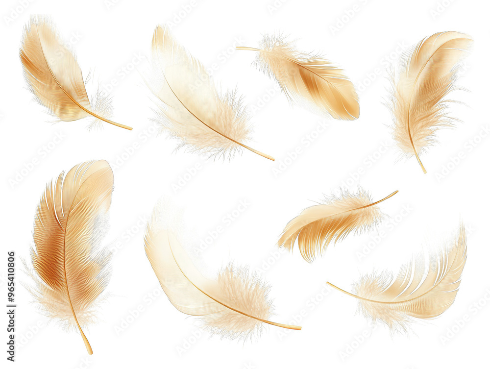 Poster abstract feathers pattern with checkered background