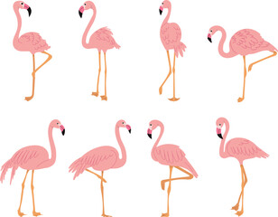 collection of pink flamingos on white background vector