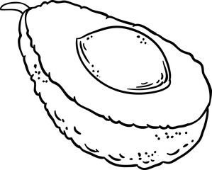 Avocado Fruit with Seed Outline Illustration