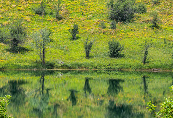 Wild nature in the Sary Chelek area in Rural Kyrgysztan