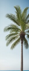 Side view of palm tree - illustration