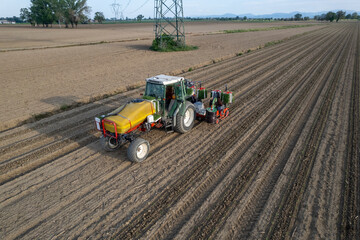 Obraz premium Aerial view of old tractor and semi Automatic tomato planter machine working in a field