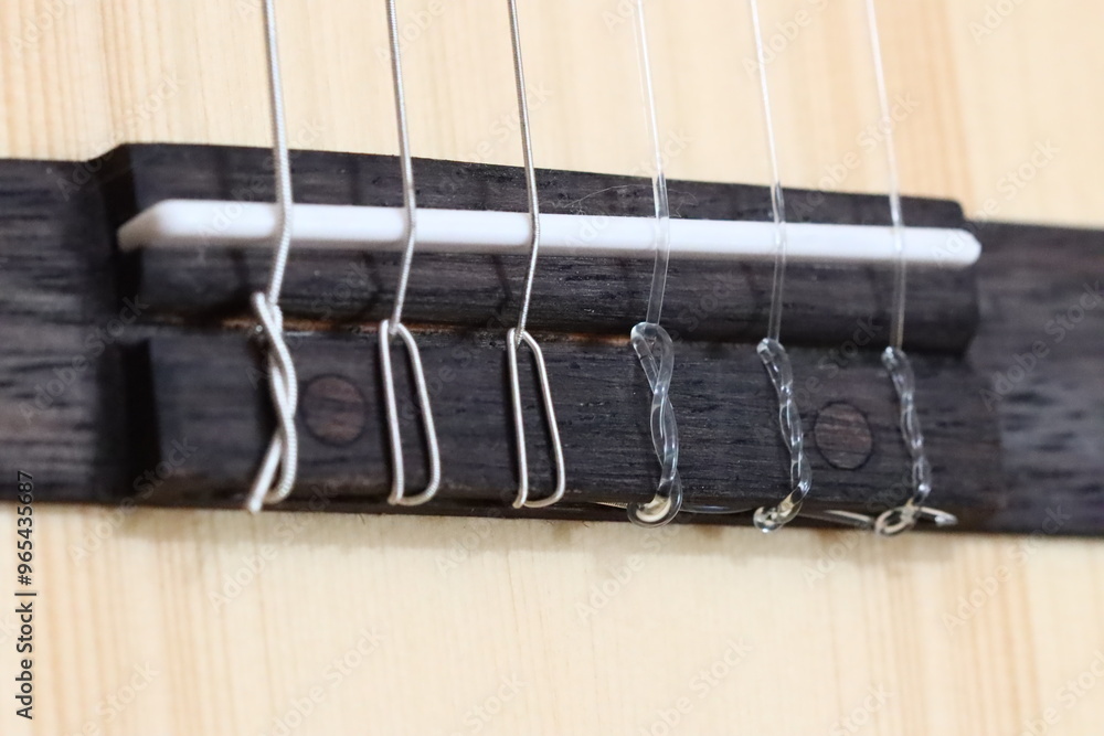 Poster Close-up view of guitar strings.