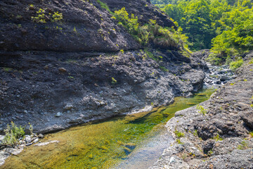 Sedimentary rocks in the Garagassa Valley Canyons near Rossiglione in the province of Genoa, Italy