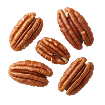 Close-Up of Five Whole Pecans Isolated on Background