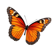 Vibrant Monarch Butterfly with Orange and Black Wings Isolated on Background