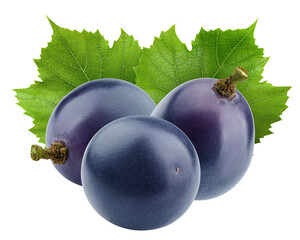 purple or blue Grape, isolated on white background, full depth of field