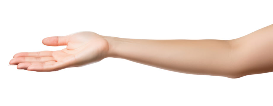 woman open hand up holding nothing empty Palm transparent background