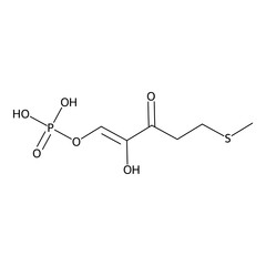 [2-hydroxy-3-keto-5-(methylthio)pent-1-enyl] dihydrogen phosphate