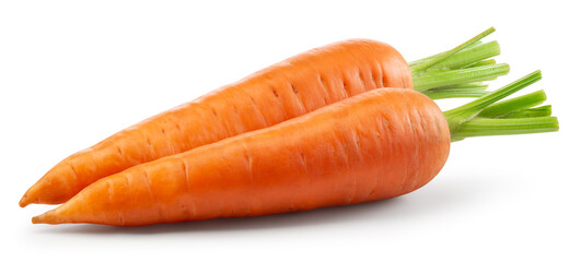 Carrots isolated. Carrot on white background. Two carrots with green leaves. With clipping path. Full depth of field.