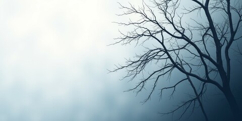 Silhouette of a bare tree against a misty sky.