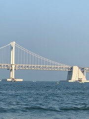 bridge at korean beach during the day