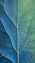 Obraz premium Close-up of a Blue Leaf Vein Pattern