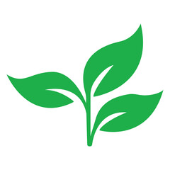 Flat green leave. Leave icon. Leaves icon on transparent background.