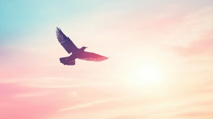 Silhouette of a bird in flight against a pastel sky