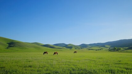 Obraz premium Horses Grazing in a Lush Green Meadow