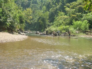 rafting on the river 