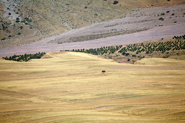 Landscape in the Gorno-Badakhshan region in Tajikistan