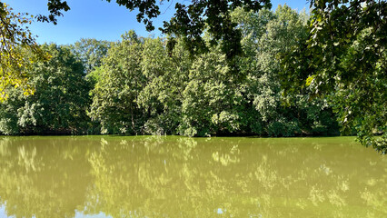 The Oder River with trees growing on the banks. Poland