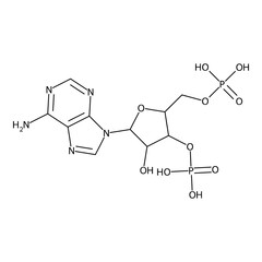 [5-adenin-9-yl-4-hydroxy-2-(phosphonooxymethyl)tetrahydrofuran-3-yl] dihydrogen phosphate